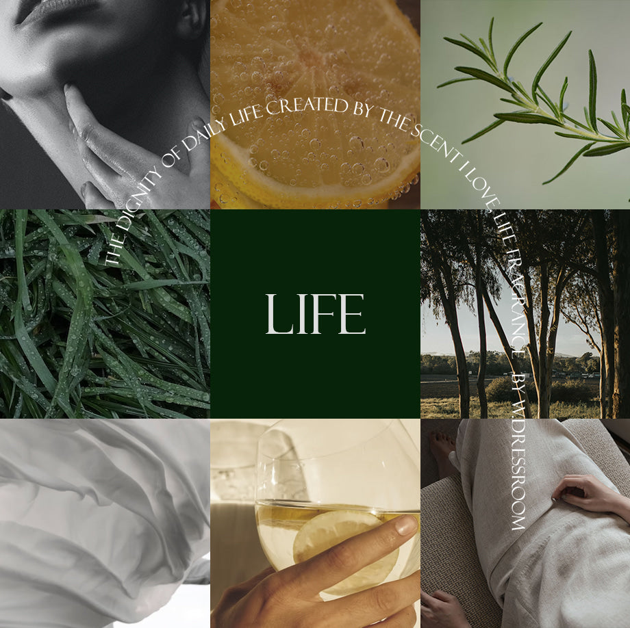 W.DRESSROOM EDT Life Perfume 100ml | Korean Furniture & Home Decor