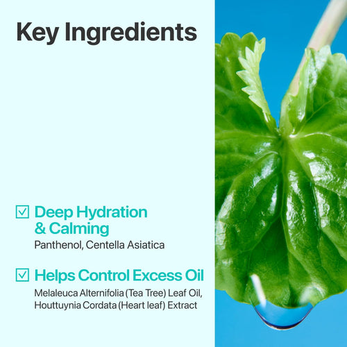 numbuzin No.1 Centella Re-Leaf Green Toner Pad 70 Pads/6.42 fl. oz.